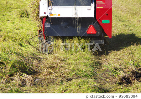 颱風季節過後，熟練操作高性能日本聯合收割機，熟練收割倒下的稻米的場景。 95085094