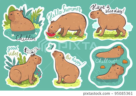 Capybara Stickers, Capybara Cartoon, Capybara Usa, Sticker Decals