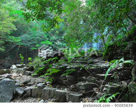 Ogimi Village, Okinawa Prefecture, Ta Falls seen beyond the trees 95085639
