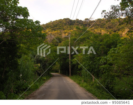 沖繩縣荻見村，從焦油瀑布返回停車場的路上 95085641