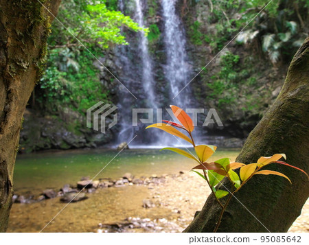 沖繩縣荻見村，樹林外的大瀑布 95085642