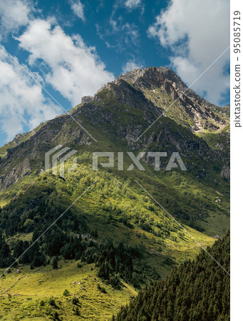 View of a Kackar mountains range and green forest with a blue sky .Rize,Turkey. View of a Kackar mountains range and green forest with a blue sky .Rize,Turkey. 95085719