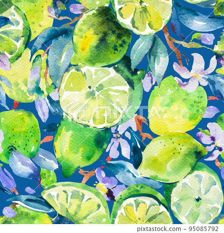 Watercolor Lime Seamless Pattern, Summer Vivid  Fruits Botanical Texture 95085792