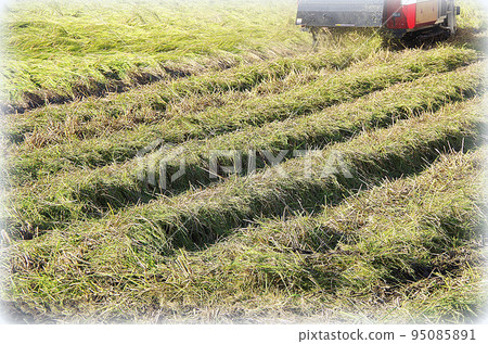 Scene of skillfully manipulating a high-performance Japanese combine harvester to reap fallen paddy rice after the typhoon season (illustration style) 95085891