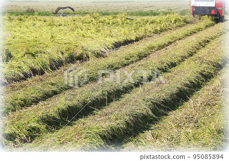 Scene of skillfully manipulating a high-performance Japanese combine harvester to reap fallen paddy rice after the typhoon season (illustration style) Scene of skillfully manipulating a high-performance Japanese combine harvester to reap fallen paddy rice after the typhoon season (illustration style) 95085894