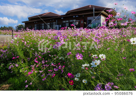 秋季,高原列出高原 秋季,高原列出高原 95086076