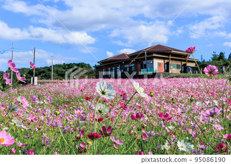 秋季,高原列出高原 秋季,高原列出高原 95086190