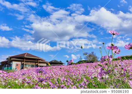 秋季,高原列出高原 秋季,高原列出高原 95086193