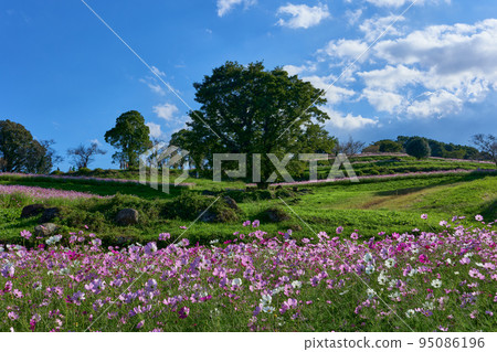 Listed plateau in autumn, Cosmos 95086196
