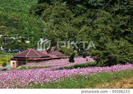 秋季,高原列出高原 秋季,高原列出高原 95086233