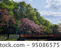 春天公園 95086575