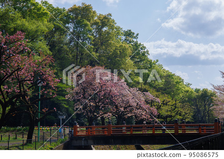 春天公園 95086575