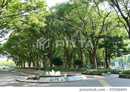 Tree-lined street in Shirakawa Park (Naka Ward, Nagoya City) 95086660
