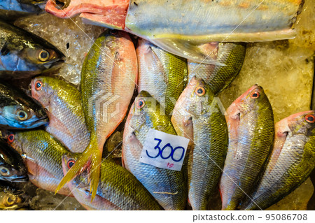 Seafood on ice sell in local fishery night market Seafood on ice sell in local fishery night market 95086708