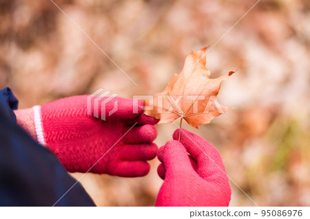 Isolation and loneliness. Hands in woolen gloves hold a dried maple leaf against the background of an autumn forest Isolation and loneliness. Hands in woolen gloves hold a dried maple leaf against the background of an autumn forest 95086976