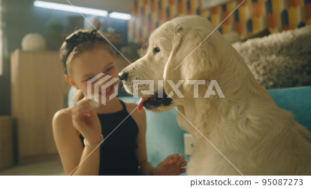 Young girl playing with dog Young girl playing with dog 95087273