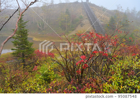 [Gunma Prefecture] Kusatsu Shirane Yumiike Garden Landscape 95087548