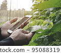 Smart Farming Concept. The man farmer is using his mobile phone with Smart farmer agriculture technology to control the quality of the farm. 95088319