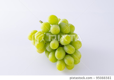 閃耀馬斯喀特 閃耀馬斯喀特 95088381