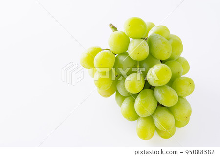 閃耀馬斯喀特 閃耀馬斯喀特 95088382