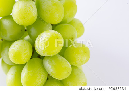 閃耀馬斯喀特 閃耀馬斯喀特 95088384