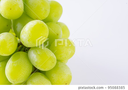 Shine Muscat Shine Muscat 95088385