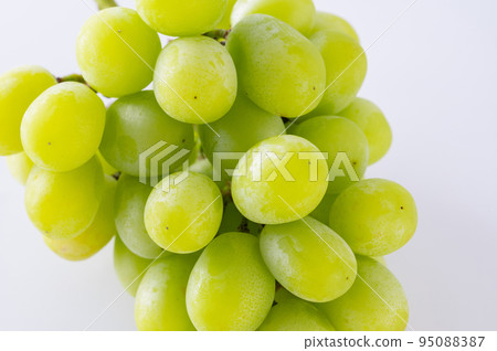 閃耀馬斯喀特 95088387