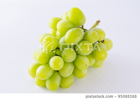 閃耀馬斯喀特 閃耀馬斯喀特 95088388