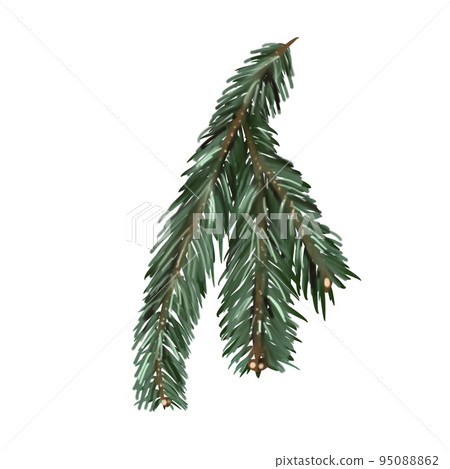 Watercolor spruce branches. Realistic branches of green pine. branch with needles Watercolor spruce branches. Realistic branches of green pine. branch with needles 95088862