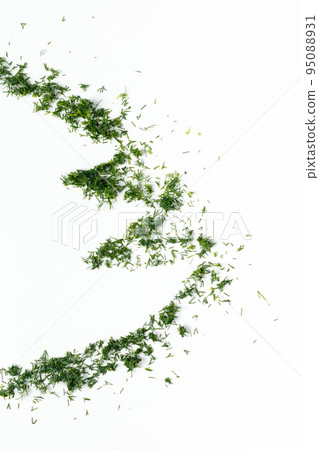 Christmas tree silhouette by green dill on a white background Christmas tree silhouette by green dill on a white background 95088931