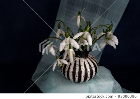 First spring flower snowdrop. Still life photography, template for postcards, greeting cards, Mother's Day, Valentine's Day, still life magazines, garden, etc. First spring flower snowdrop. Still life photography, template for postcards, greeting cards, Mother's Day, Valentine's Day, still life magazines, garden, etc. 95090396