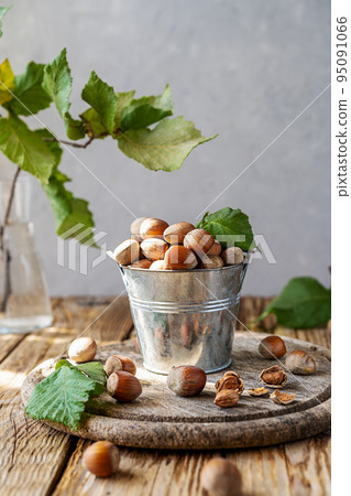 Hazelnuts in small bucket on wooden rustic cutting board, wooden table, hazelnut tree branch Hazelnuts in small bucket on wooden rustic cutting board, wooden table, hazelnut tree branch 95091066