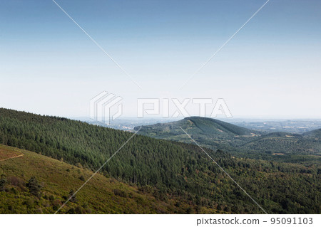 Panoramic view of hills and forests 95091103