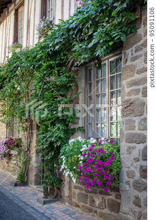 Wisteria growing on a stone wall 95091106