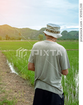 Back view of male agriculturist wear hat walking alone to check and monitoring quality of rice in paddy field. Farmer walking through a green rice field in evening. Agriculture investigation concept. Back view of male agriculturist wear hat walking alone to check and monitoring quality of rice in paddy field. Farmer walking through a green rice field in evening. Agriculture investigation concept. 95091288