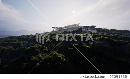 aerial shot of the Kenya savannah 95091586