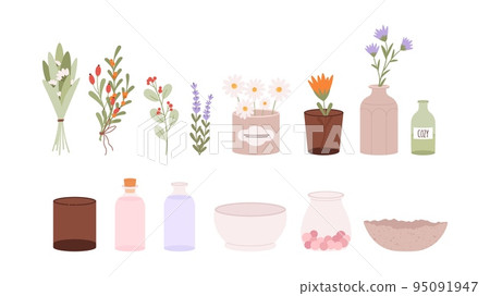 Medicinal herbs, flowers in vases and glasses, empty bottles and bowls. Cozy home collection, decor and crockery. Chamomile and lavender, herbal vector set 95091947