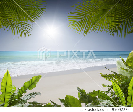 View of nice tropical beach with some palms 95092274