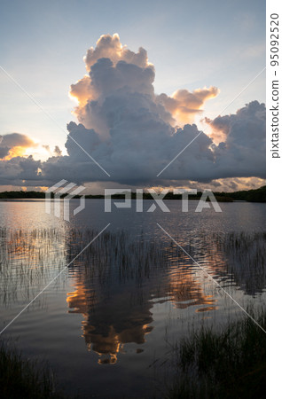 Colorful sunrise over pond in Everglades National Park. 95092520