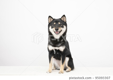 黑芝雪利酒坐著微笑 95093307