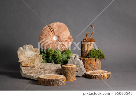natural style. stone, mushroom and twig leaves. Still life for natural style. stone, mushroom and twig leaves. Still life for 95093543