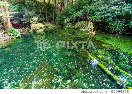 《Kumamoto Prefecture》Ikeyama Suigen Ubuyama Village 《Kumamoto Prefecture》Ikeyama Suigen Ubuyama Village 95094878