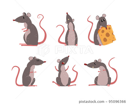 Funny Rat as Long-tailed Rodent Engaged in Different Activity Vector Set Funny Rat as Long-tailed Rodent Engaged in Different Activity Vector Set 95096366