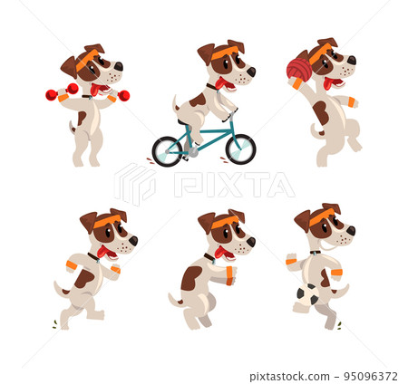 Cute Sportive Jack Russell Terrier Running, Cycling, Squat and Playing Ball Vector Set 95096372