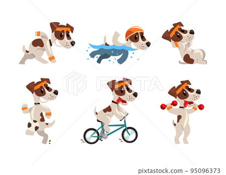 Cute Sportive Jack Russell Terrier Running, Swimming, Cycling and Playing Ball Vector Set Cute Sportive Jack Russell Terrier Running, Swimming, Cycling and Playing Ball Vector Set 95096373
