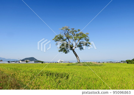 奈良飛鳥村 推測的奧田宮遺址（古宮遺址） 95096863