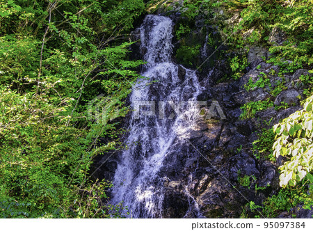 大瀧水戶，檜原富民之森，東京 95097384