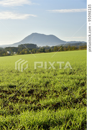 Photographing the scenery of autumn wheat fields and Mt. Shiribetsu in Kyogoku-cho, Hokkaido in autumn 95098185