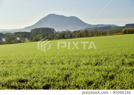Photographing the scenery of autumn wheat fields and Mt. Shiribetsu in Kyogoku-cho, Hokkaido in autumn 95098186