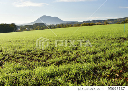 Photographing the scenery of autumn wheat fields and Mt. Shiribetsu in Kyogoku-cho, Hokkaido in autumn 95098187